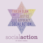 Social action at Adas Israel
